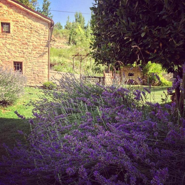 Ca' Maranghi Holiday House Palazzuolo Sul Senio Exterior photo